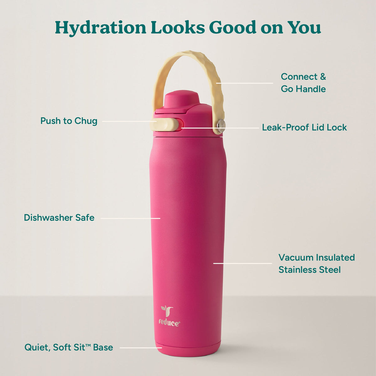 aura-26-oz-e7 Aura_26oz_DragonFruit_PDP_Infographic_2-03.jpg