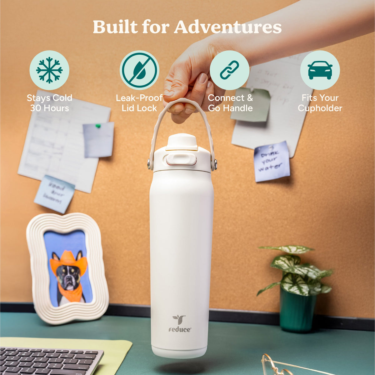 aura-26-oz-e7 Aura_26oz_Unbleached_PDP_Infographic_1.jpg