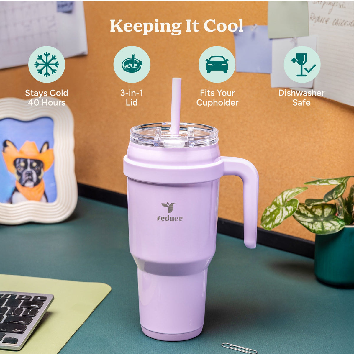 cold1-40-oz-q7 Cold1_40oz_PalmLeaf_Infographic_1.jpg