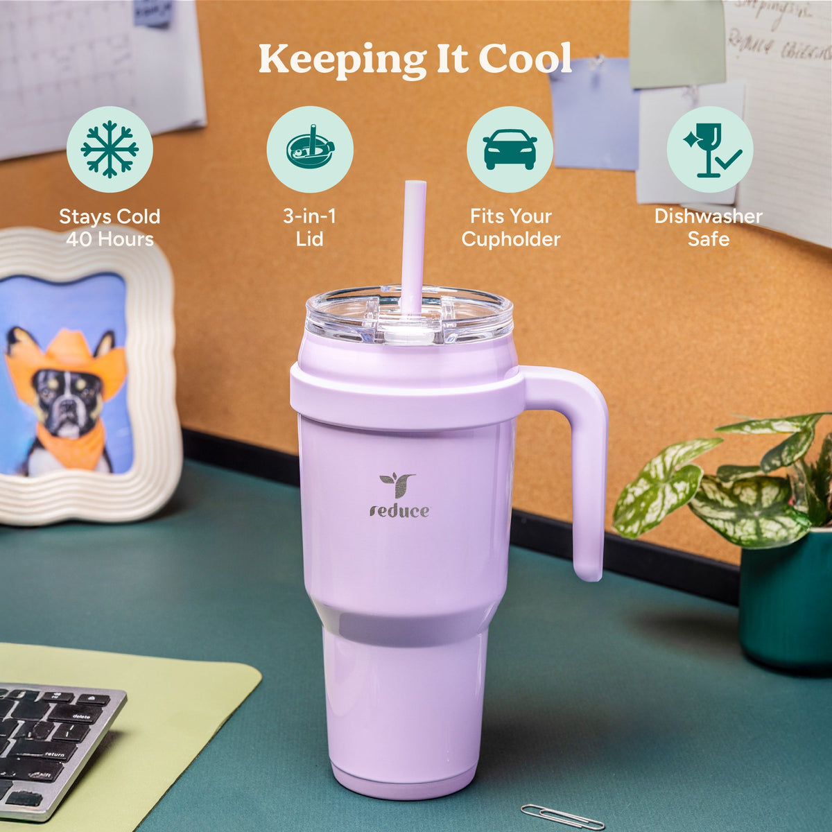 cold1-40-oz-q7 Cold1_40oz_PurplePunch_Infographic_1.jpg